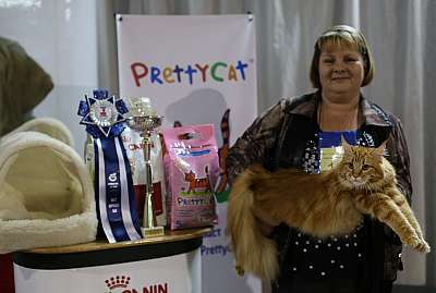 �������� ����� '���-�����-������' 22-23 ������ 2014 8-18-169A9540 copy.jpg